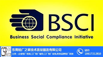 BSCI驗(yàn)廠全面解析 費(fèi)用、流程與專業(yè)咨詢服務(wù)指南